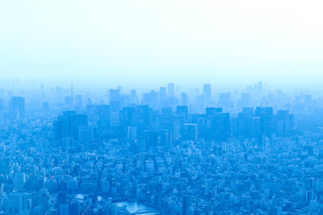 上空から見た都会の景色