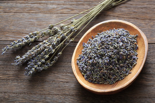(Herb) image of lavender