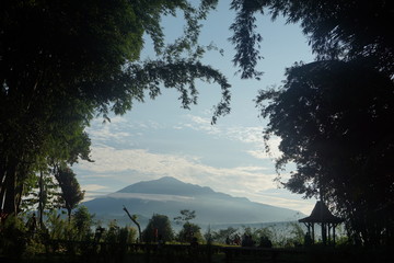mountain landscape in the village nature
