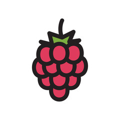 raspberry icon in flat style isolated vector illustration on white transparent background