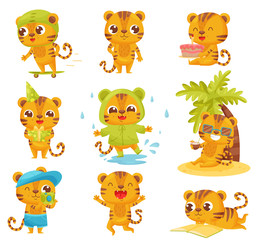 Collection of little tigers on white background.