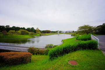 Beautiful lake at Hitachi Seaside Park, Ibaraki, Japan