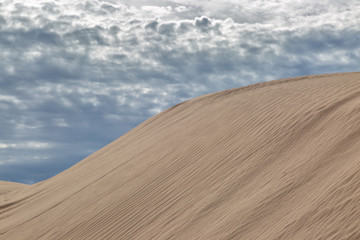 Naklejka premium The Imperial Sand Dunes, California