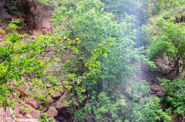 Waterfall at Zion National Park, Emerald Pools Trail, Utah