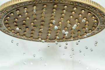 Golden shower head on wall with faience
