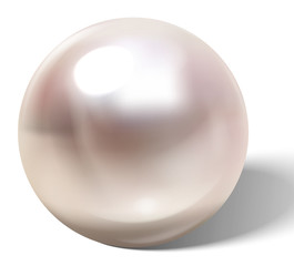 Beautiful realistic pearl.