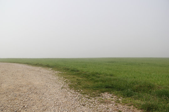 Trail through the medows in the middle of the fog