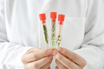 Doctor holding test tubes with plants, closeup
