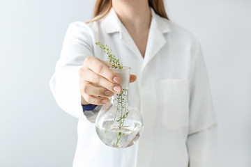 Doctor holding flask with plants, closeup