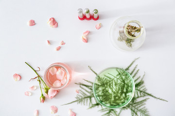 Glassware with ingredients for making plant based pills on white table
