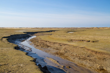 Tidal creak meandering in a salt marsh towards the sea