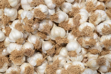 garlic and background
