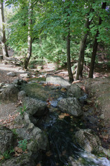 Agios Nikolaos Park Naousa Greece Europe