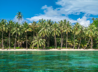 Fototapeta na wymiar Palm trees on the beach of a secluded tropical island