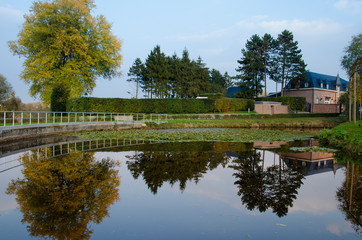 Fototapeta premium Trees and building reflected in a lake