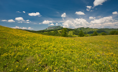 Mountain spring valley