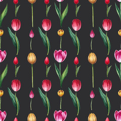 Seamless watercolor pattern with blooming tulips on black background