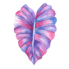 Tropical leaves and flowers watercolor illustration