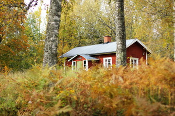 A red wooden house in the forest in autumn. 