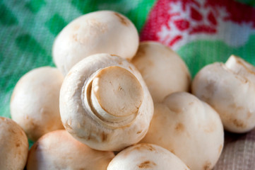 Fresh, raw champignons lie on the fabric, ready for cooking.