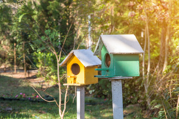 Green and Yellow wooden birdhouse on post in the garden on summer or spring sunshine with natural green leaves background 