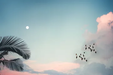 Selbstklebende Fototapeten Pastellhimmel Palmen Himmel Vogelschwarm mit Mond Vintage-Stil für Hintergrundtextur © QuickStartProjects