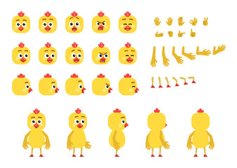 Fototapeta premium Cartoon chicken creation set. Various gestures, emotions, diverse poses, views. Create your own pose, animation. Flat style vector illustration