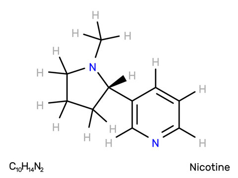 Nicotine structural formula. Vector illustration