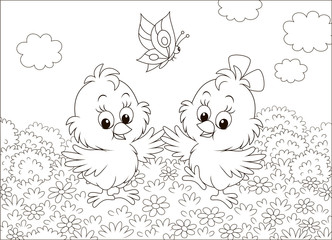 Cute little chicks dancing with a butterfly among flowers on a sunny summer day, black and white vector illustration in a cartoon style for a coloring book