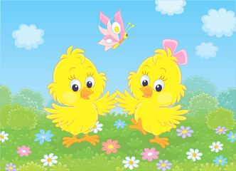 Cute little yellow chicks dancing with a butterfly among flowers on green grass of a lawn on a sunny day, vector illustration in a cartoon style