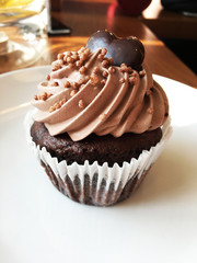Homemade chocolate cake with chocolate icing