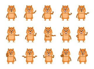 Set of cartoon hamster characters showing various hand gestures. Funny hamster pointing, greeting, waving, showing thumb up, victory, stop sign and other hand gestures. Flat style vector illustration