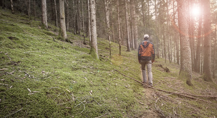 Obraz premium A trekker walking solo among the forest in a cloudy day