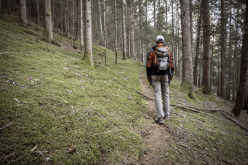Fototapeta premium A trekker walking solo among the forest in a cloudy day