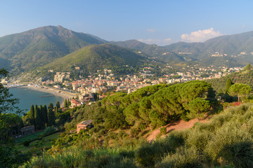 Fototapeta na wymiar View of beach in Levanto. Italy