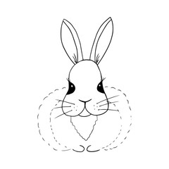 Vector doodle, hand drawn linear illustration of cute bunny, rabbit isolated on white background.