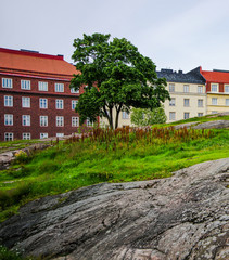 Fototapeta na wymiar A single tree grew on huge rock with traditional nordic apartments as background at Helsinki rock church