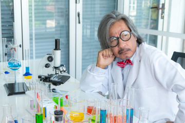Fototapeta premium Serious senior male supervisor researchers and experiment working in life science laboratory.