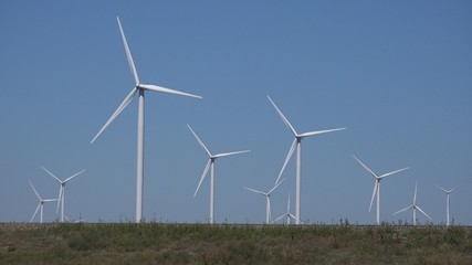 Windmills, Wind Turbines, Agriculture Wheat Field Generator Power, Electricity