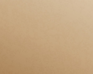 Craft paper texture carton board empty cardboard template for scrapbook and handmade things.