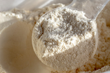 Close up of protein powder and scoops. Whey protein scoop.