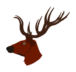 Deer head with antlers vector illustration isolated on white background. Reindeer, proud Noble Deer male trophy. Powerful buck, red deer. Hunter hunting  wild animal, symbol of male power.