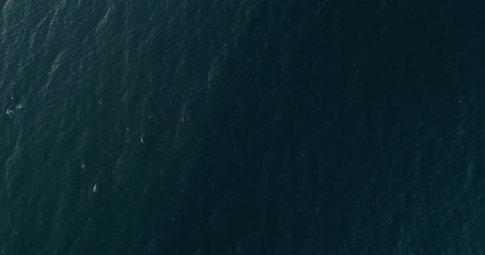 Top-down view of a deep blue sea