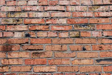 Obraz premium The brick texture, wall, with cracks and scratches
