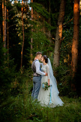 Beautiful newlyweds couple walking in the forest. Honeymooners. Bride and groom holding hand in pine forest, photo for Valentine's Day