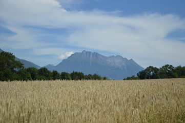 Vue vers le massif de Chartreuse
