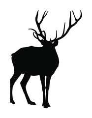 Deer vector silhouette illustration isolated on white background. Reindeer, proud Noble Deer male in forest or zoo. Powerful buck with huge neck and antlers standing. Red deer.

