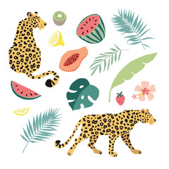 Summer tropical graphic elements. Leopard cats animals. Jungle floral illustrations, palm, monstera leaves and hibiscus flower. Watermelon, papaya, kiwi and lemon fruit. Isolated vectors, flat design. © tabitazn