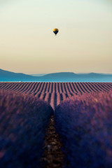 Plateau de Valensole