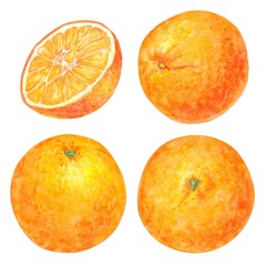 Set of fruit illustrations with Orange in watercolor. Sweet and fresh fruit elements for menu, greeting cards, wrapping paper, cosmetics packaging, labels, tags, posters